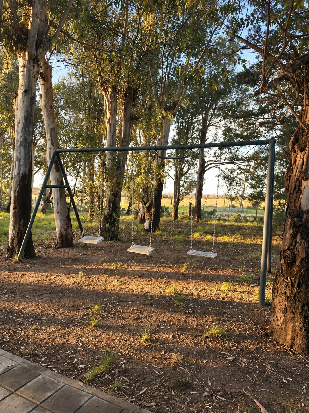 Las hamacas de La Caldenia entre los árboles del parque